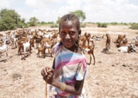 Emergencia en el Sahel: La desnutrición infantil alcanza ya el 22% en Níger